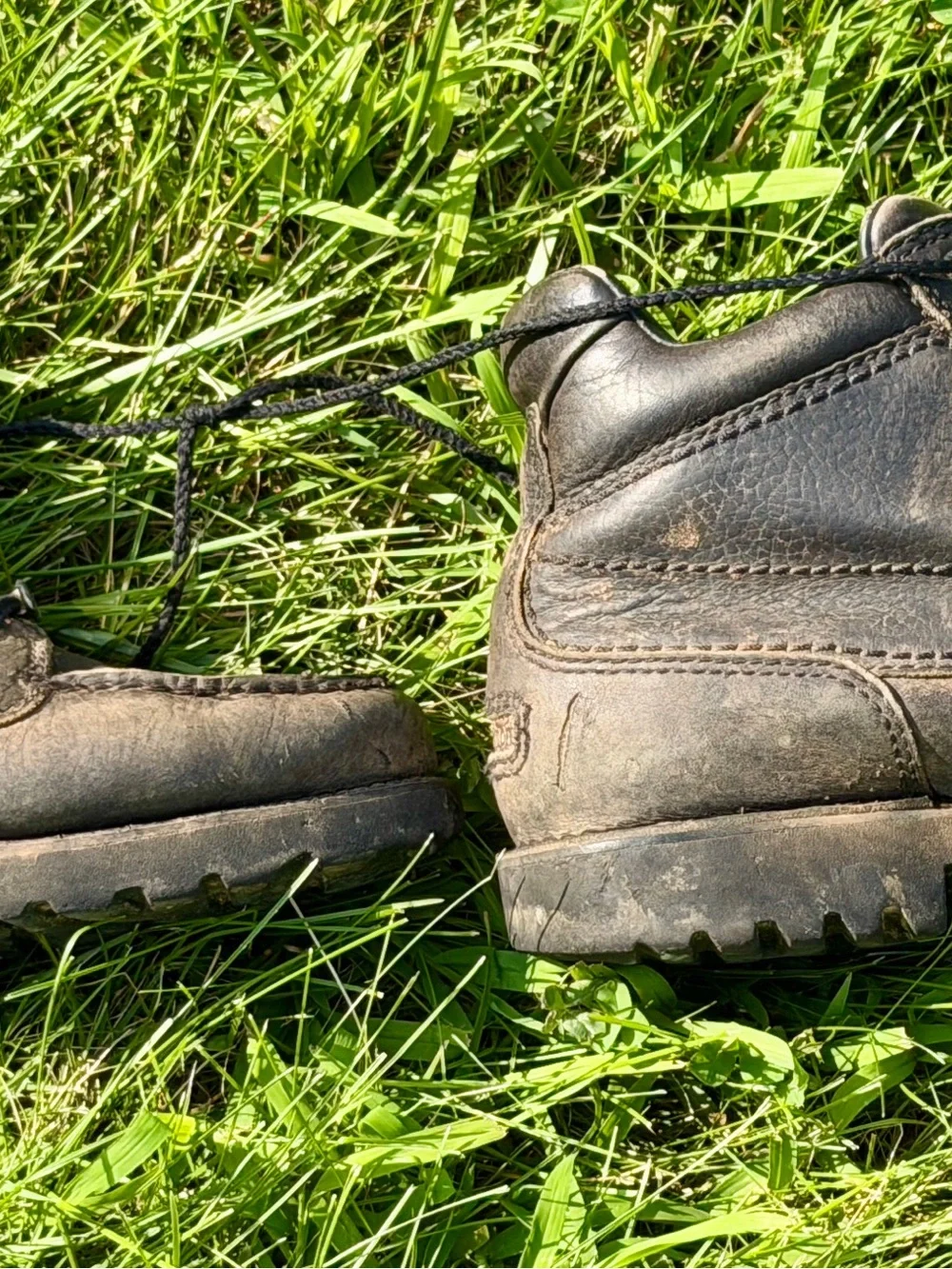 Rockport sturdy leather